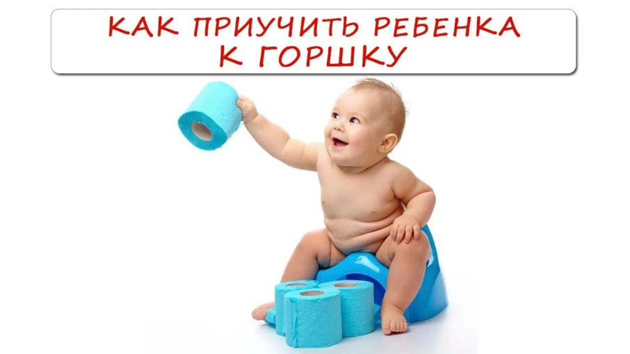 Как приучить ребенка к горшку? Как приучить ребенка к горшку?.